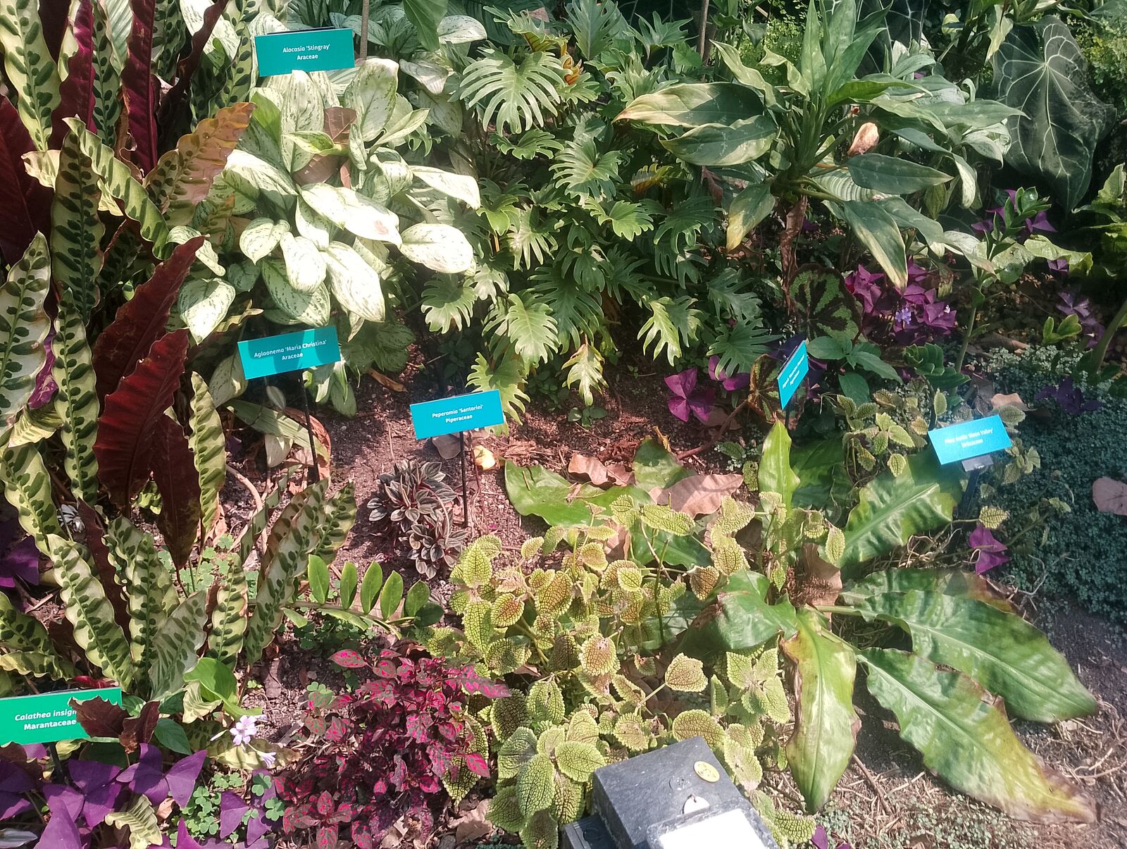 Eden Project