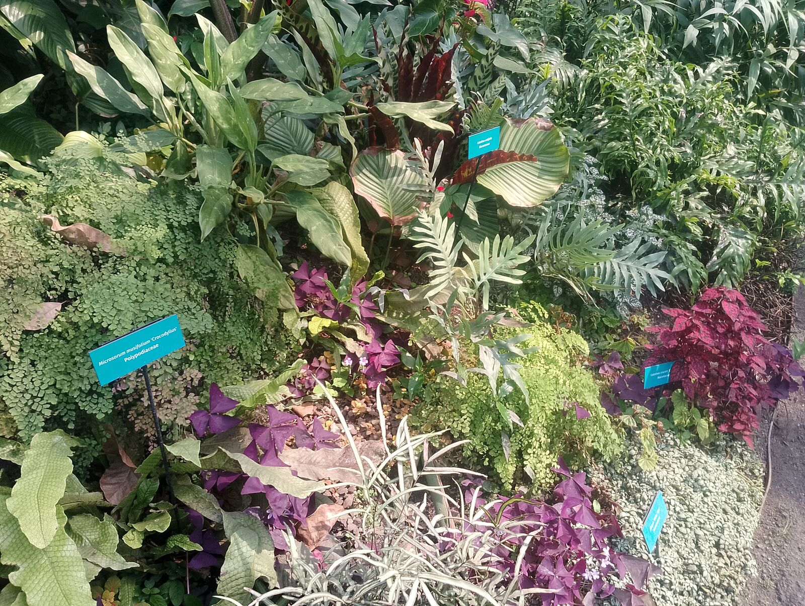 Eden Project