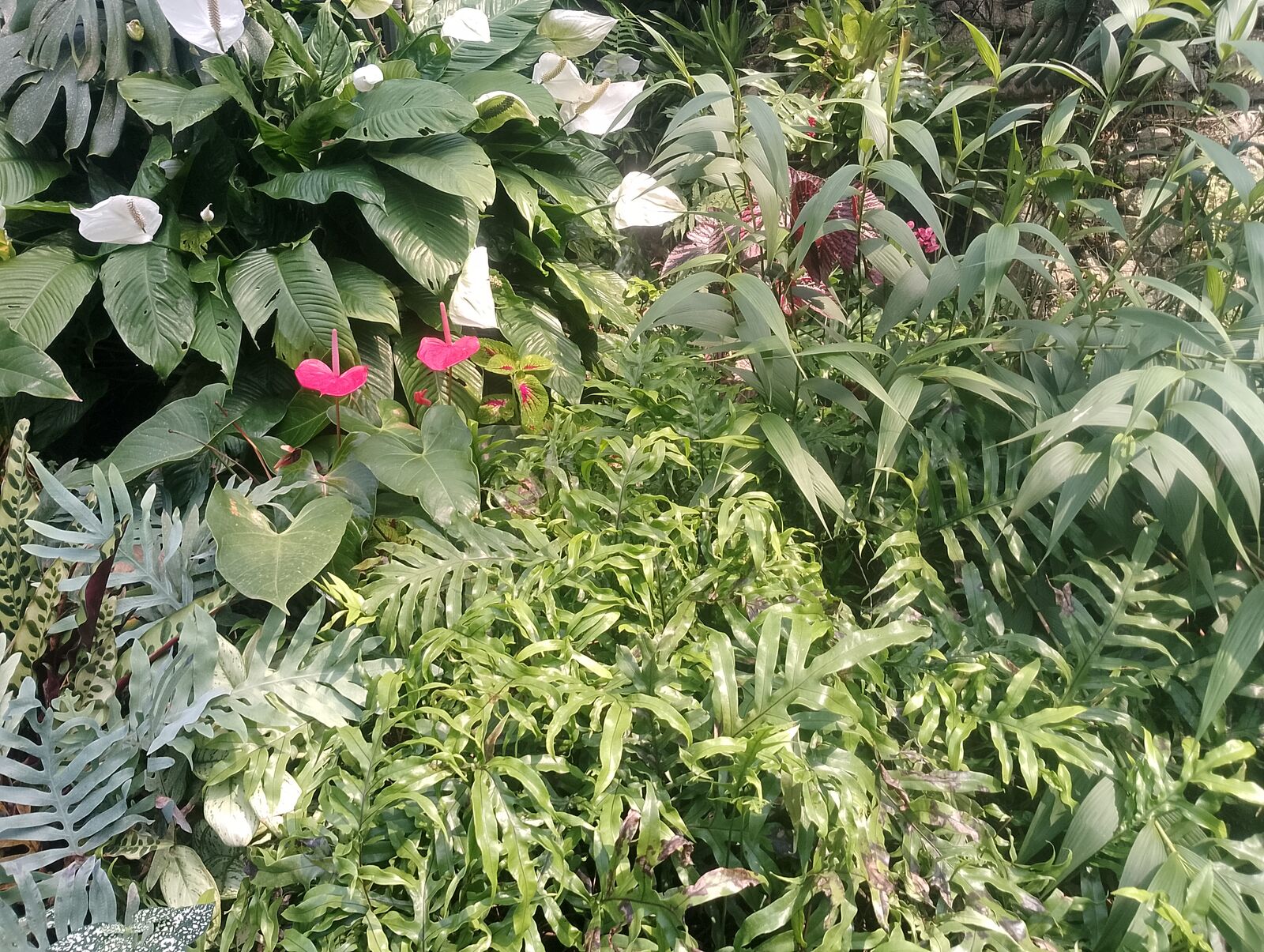 Eden Project