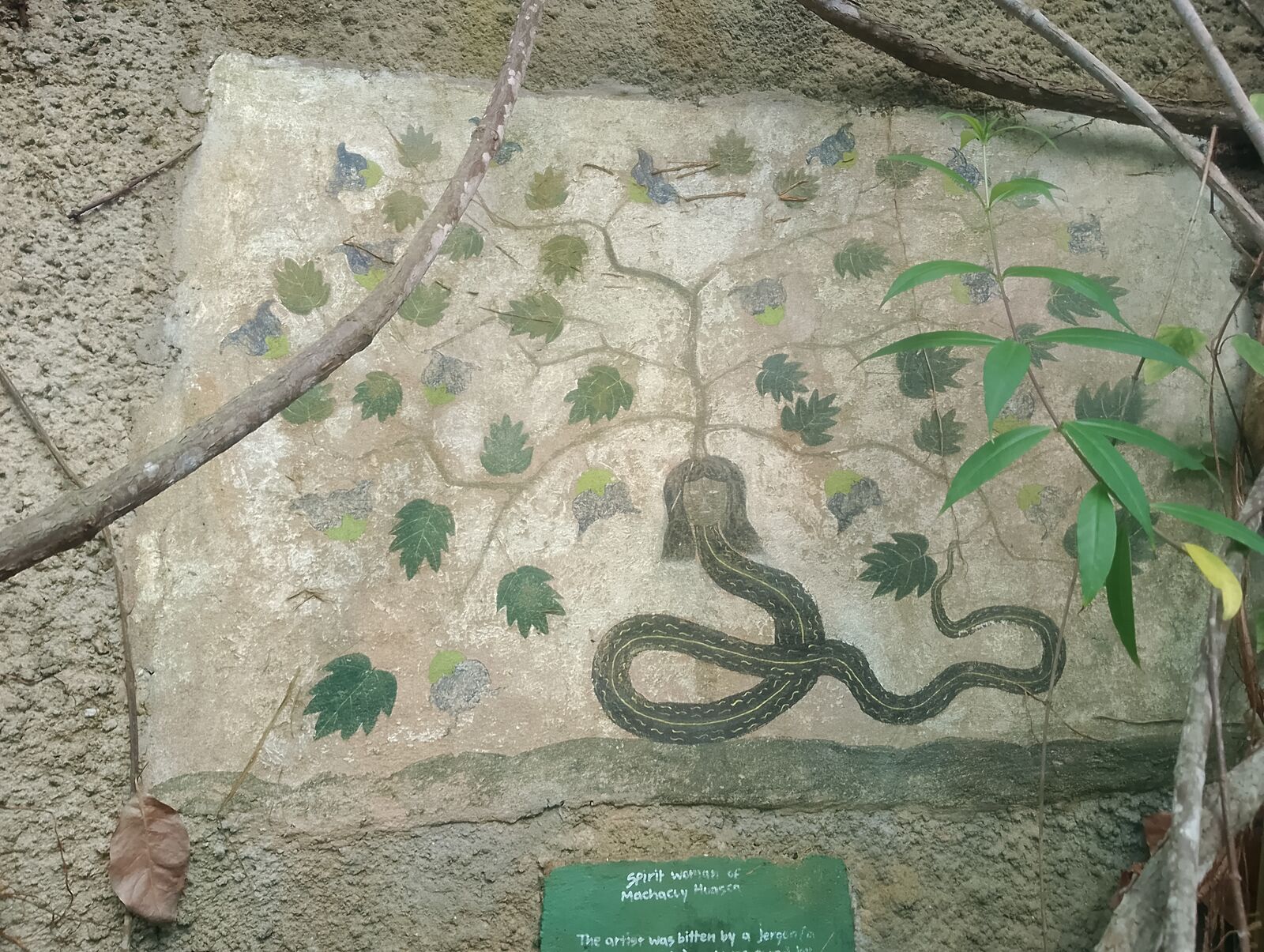 Eden Project