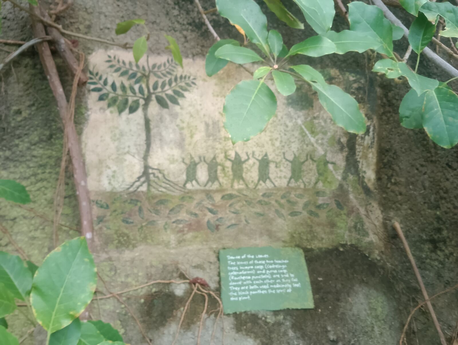 Eden Project
