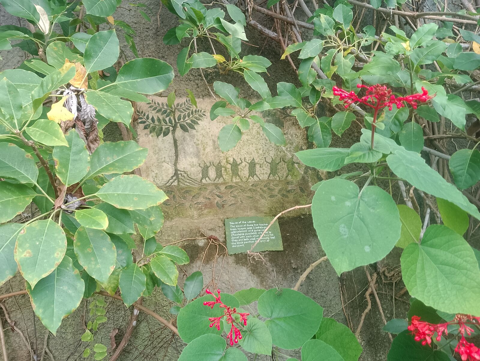 Eden Project