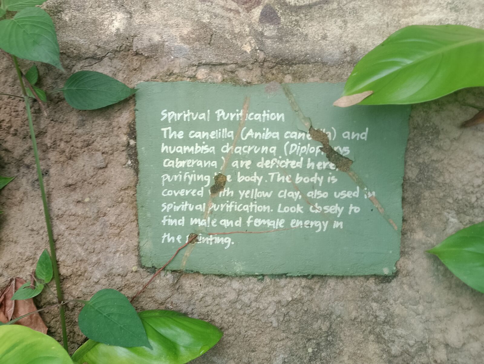 Eden Project