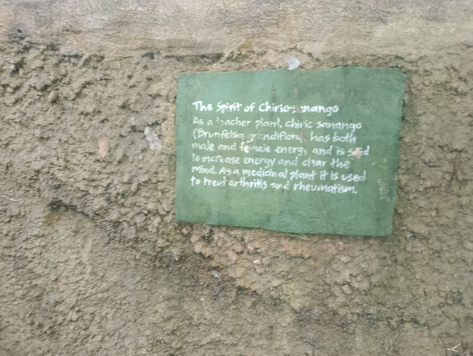 Eden Project