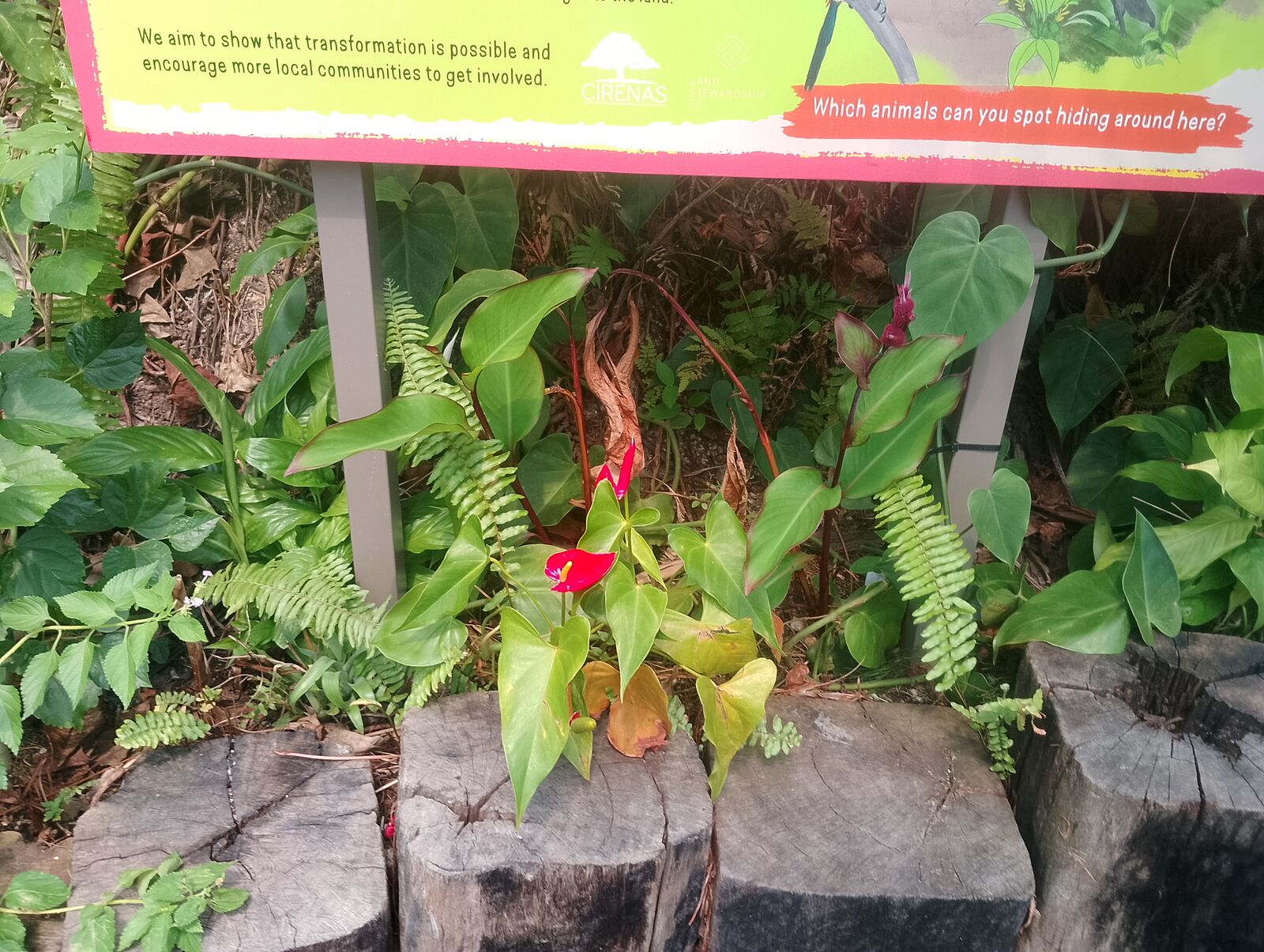 Eden Project