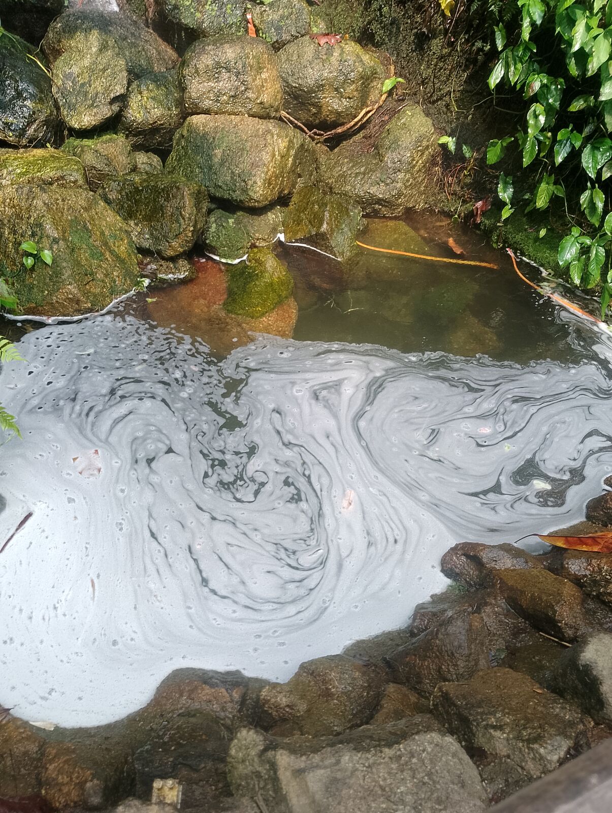 Eden Project