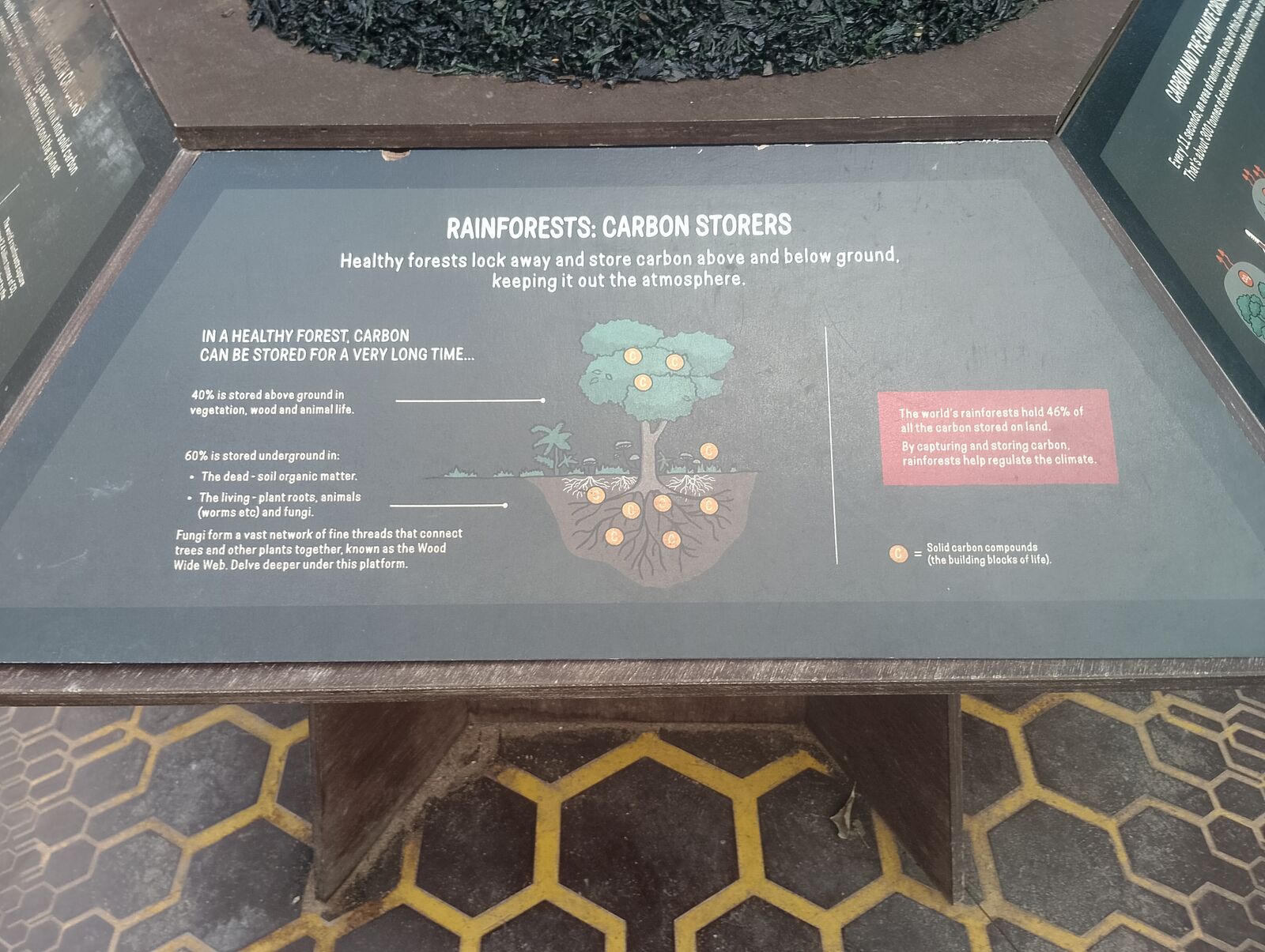 Eden Project