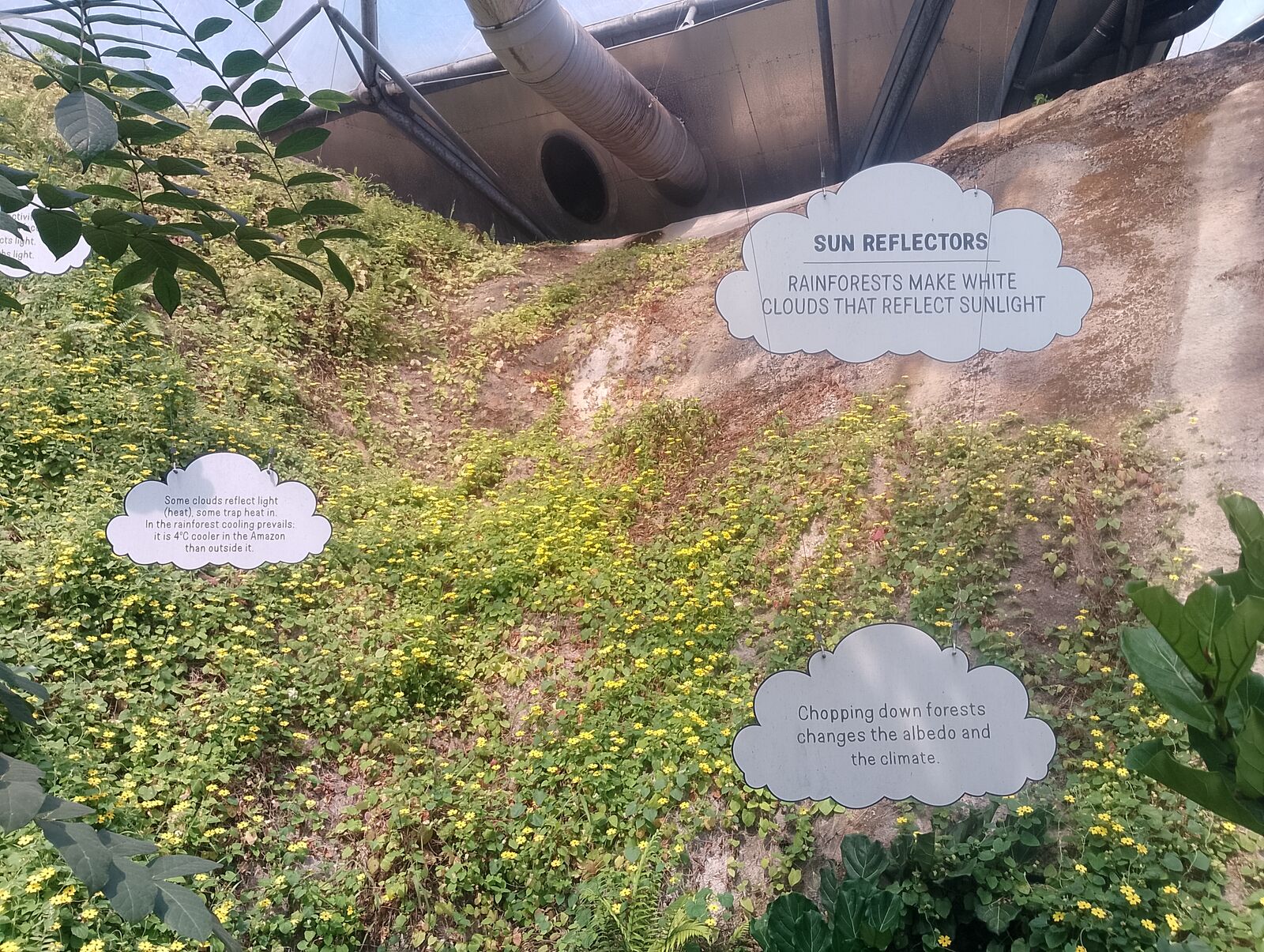 Eden Project
