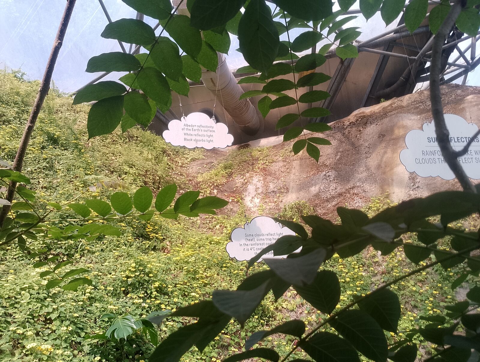Eden Project