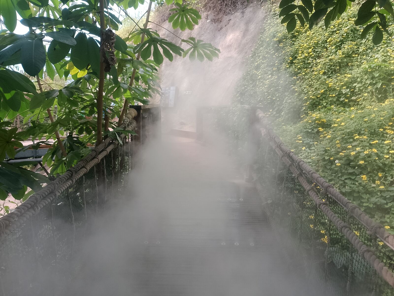 Eden Project