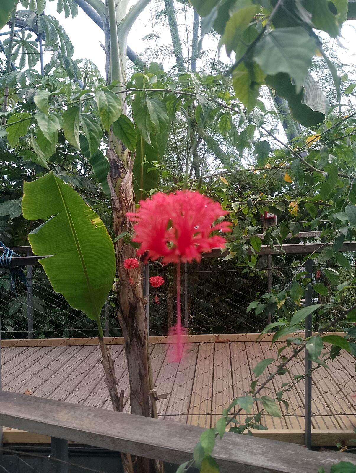 Eden Project