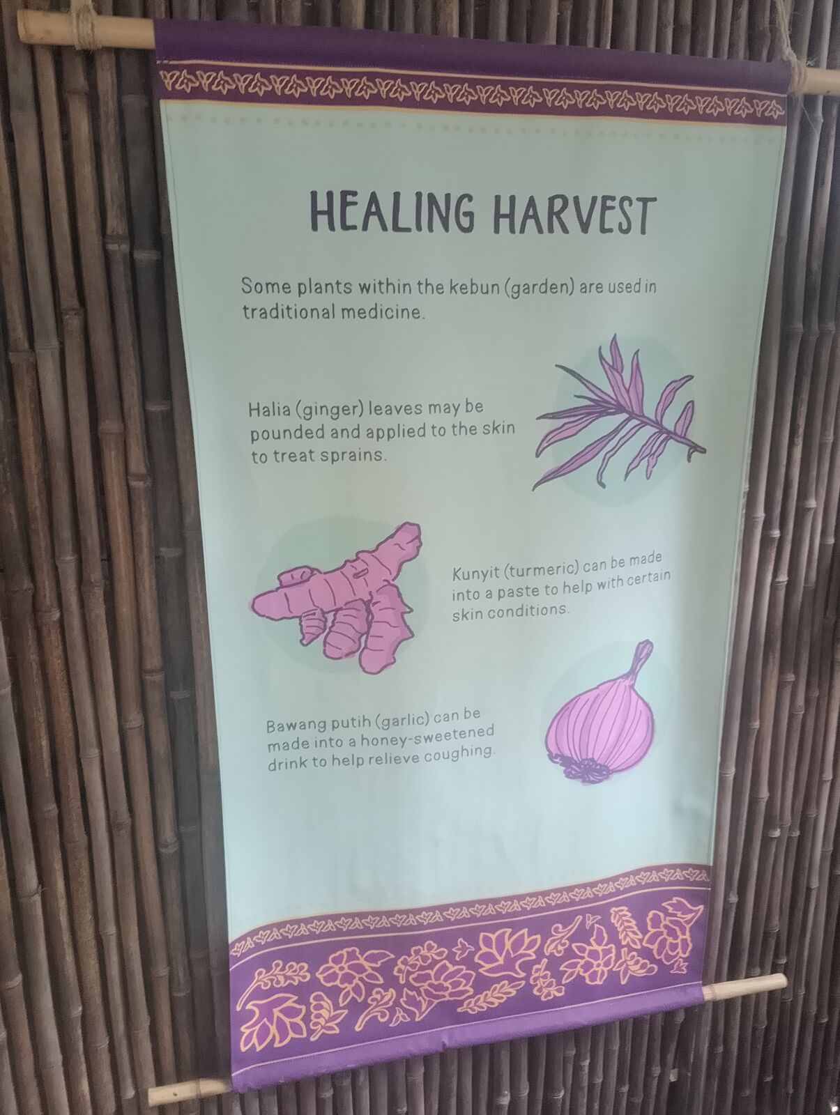 Eden Project