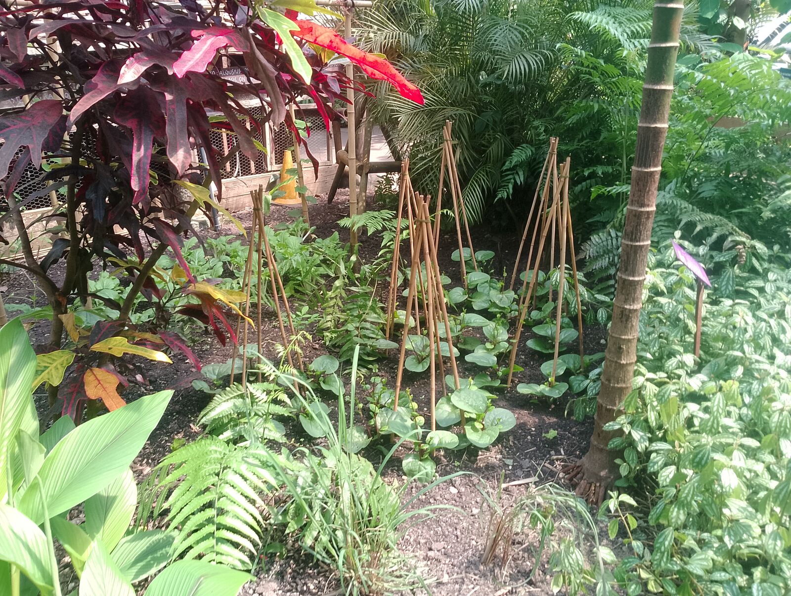 Eden Project