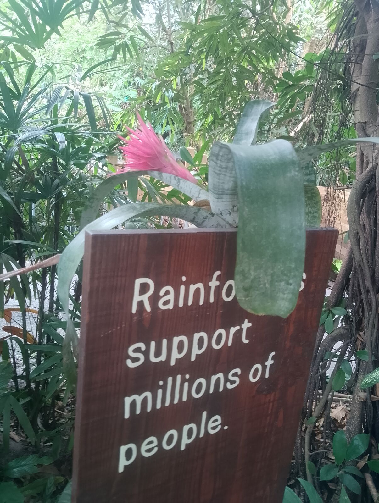 Eden Project