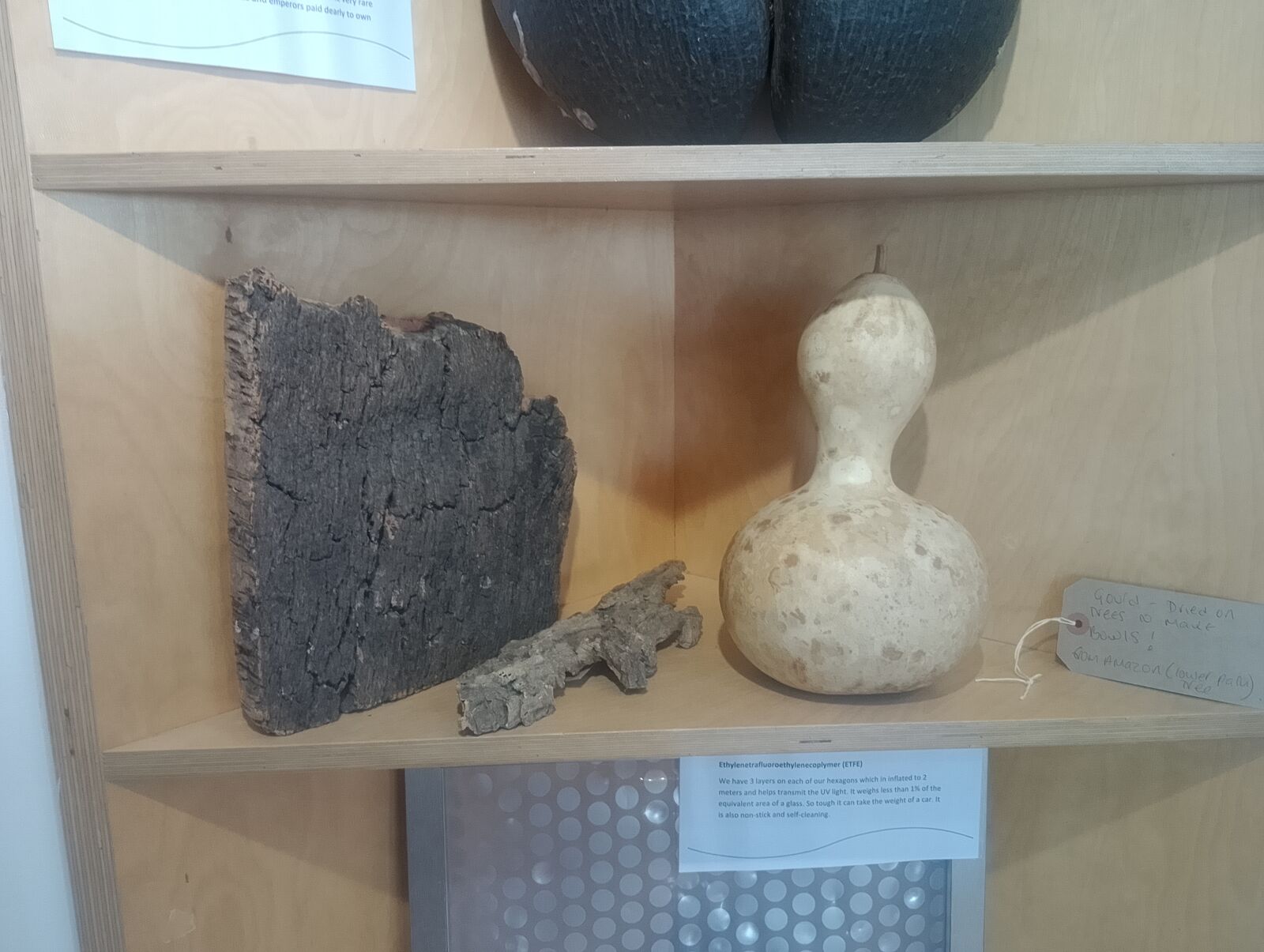 Eden Project