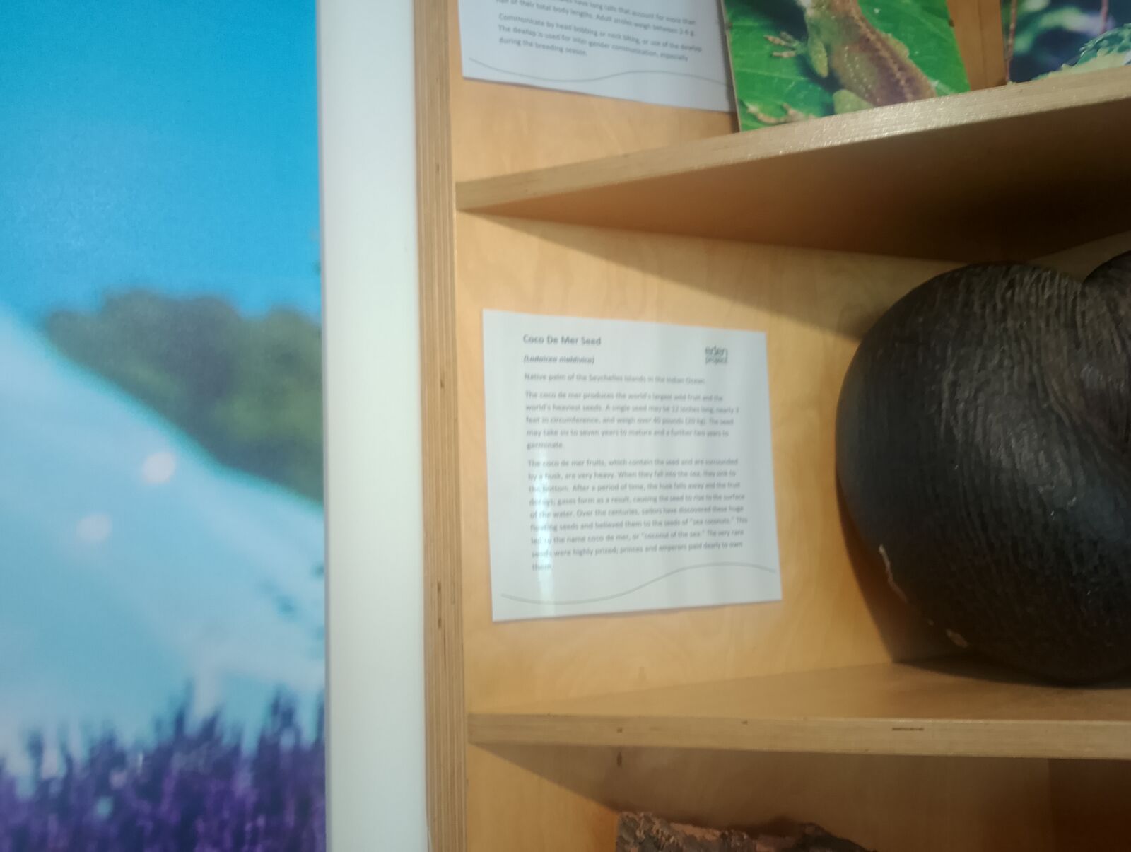 Eden Project