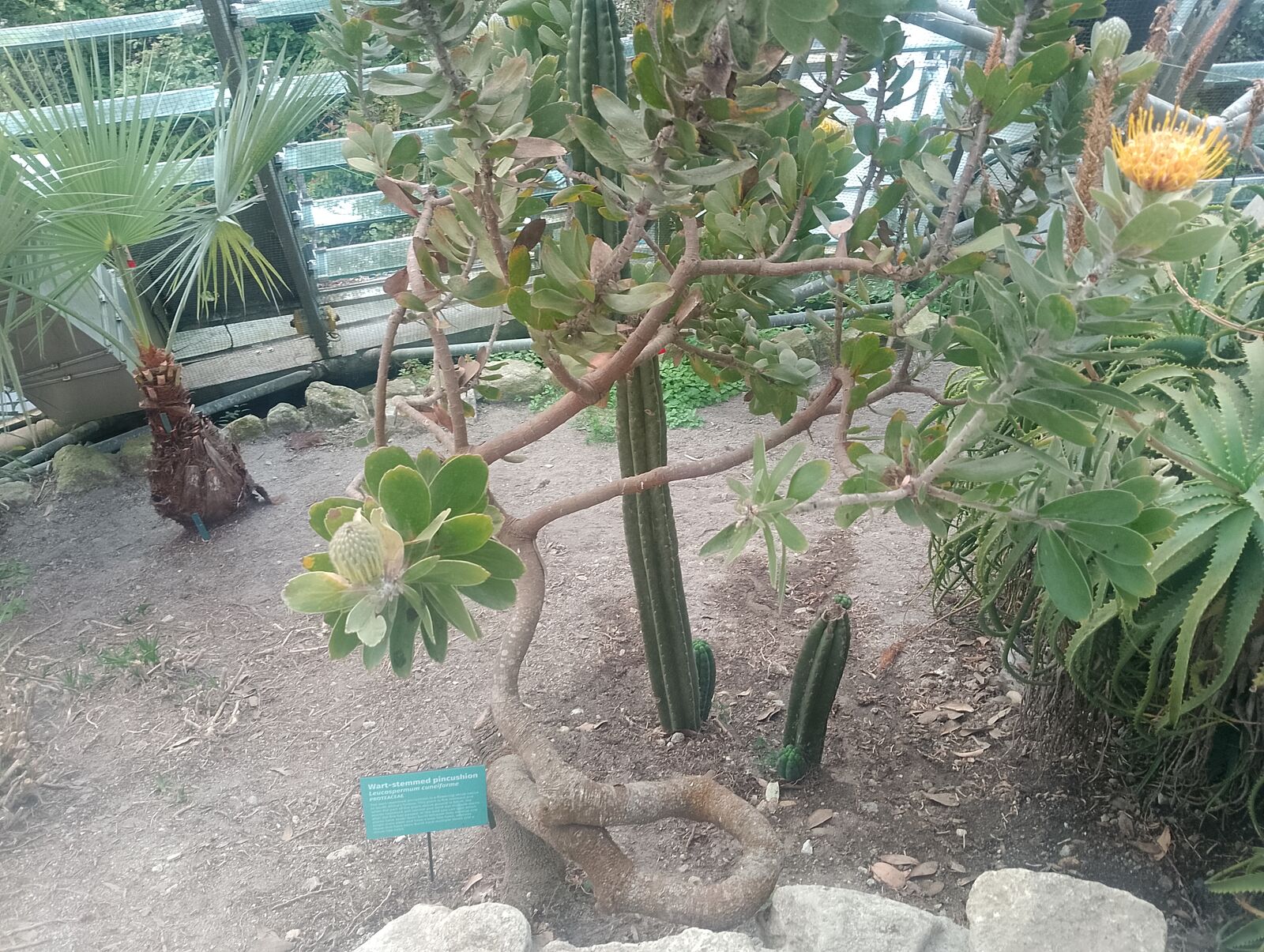 Eden Project