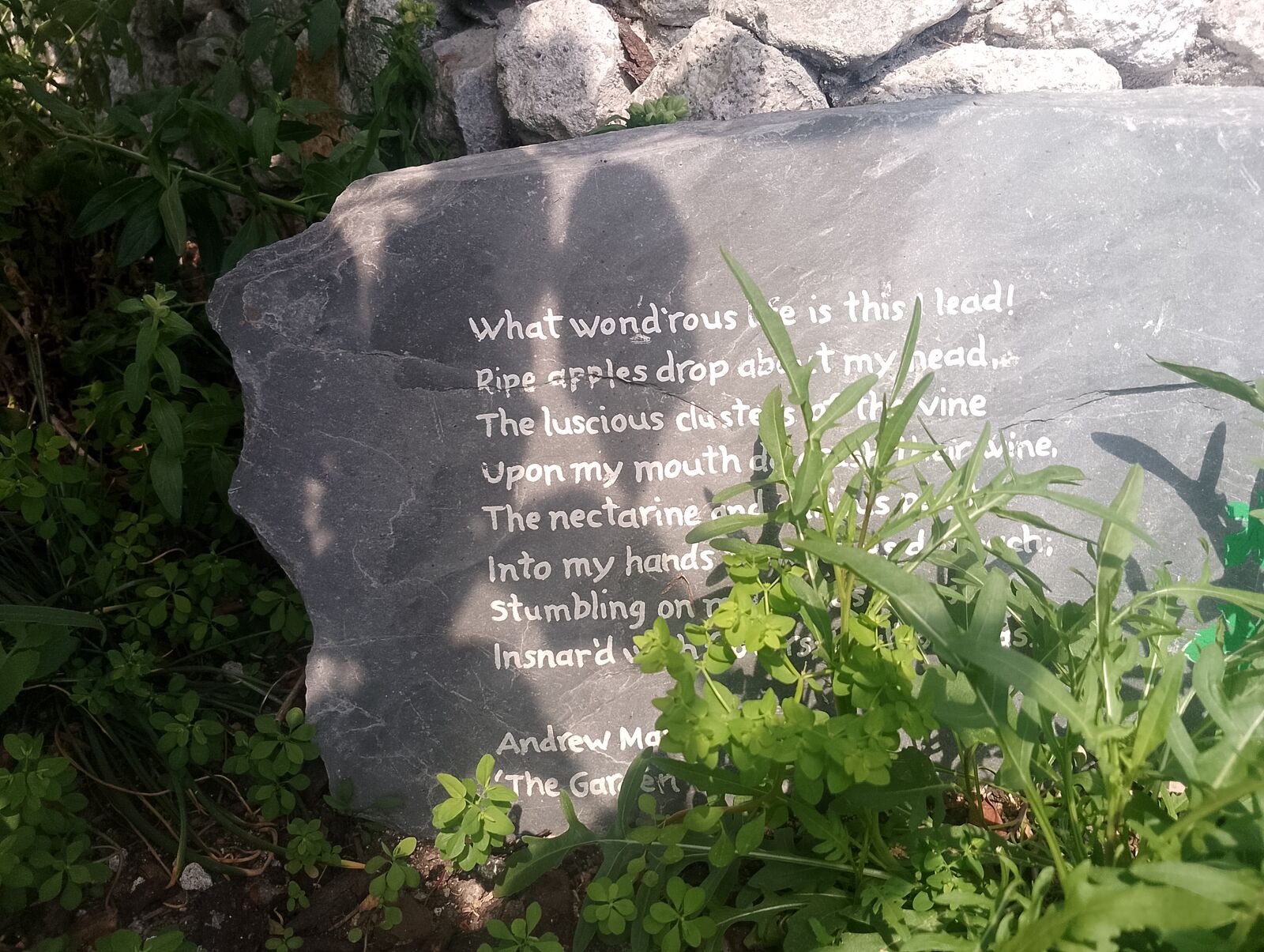 Eden Project