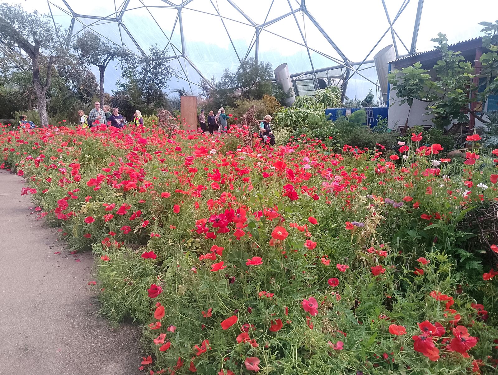 Eden Project