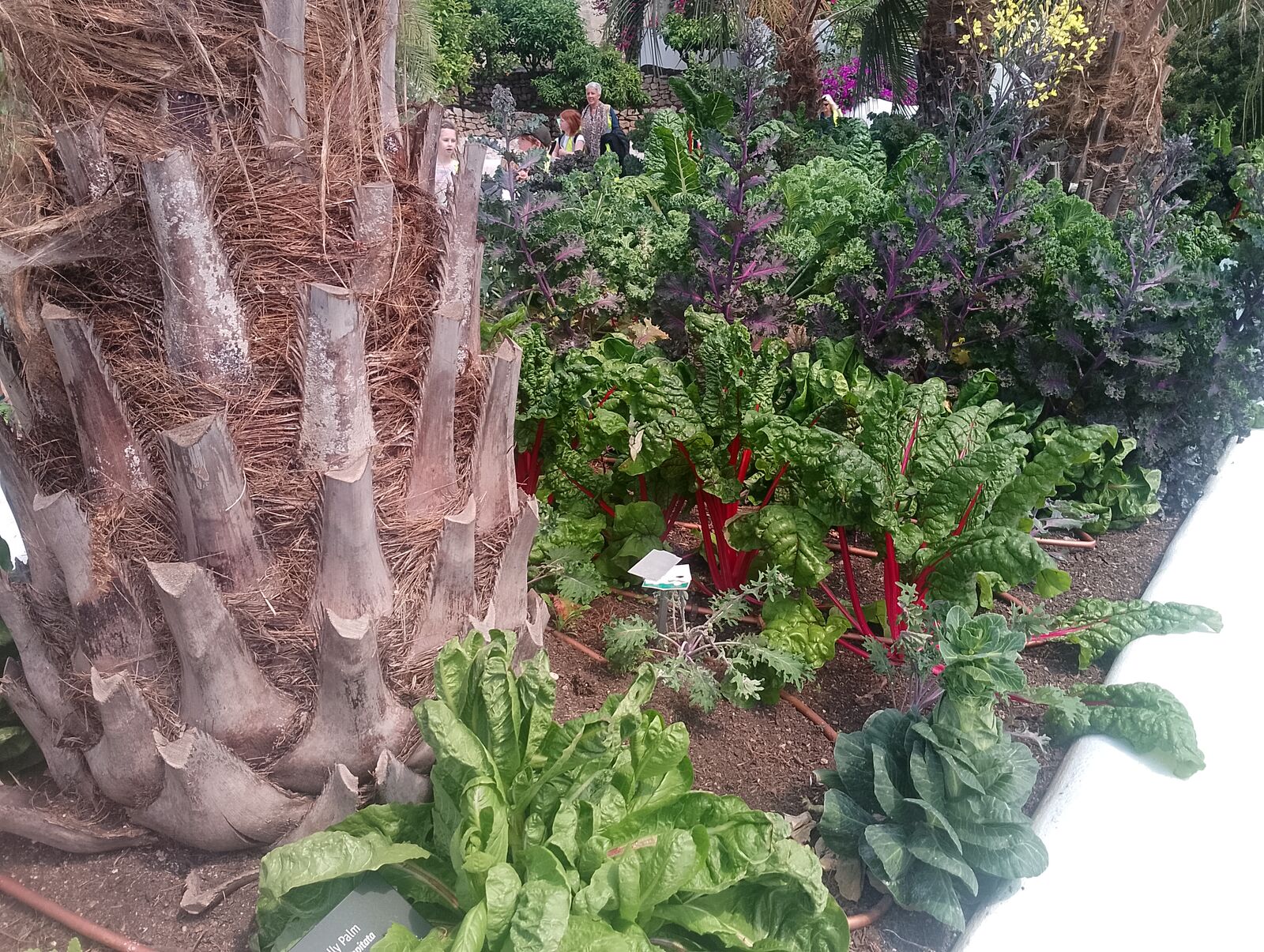Eden Project