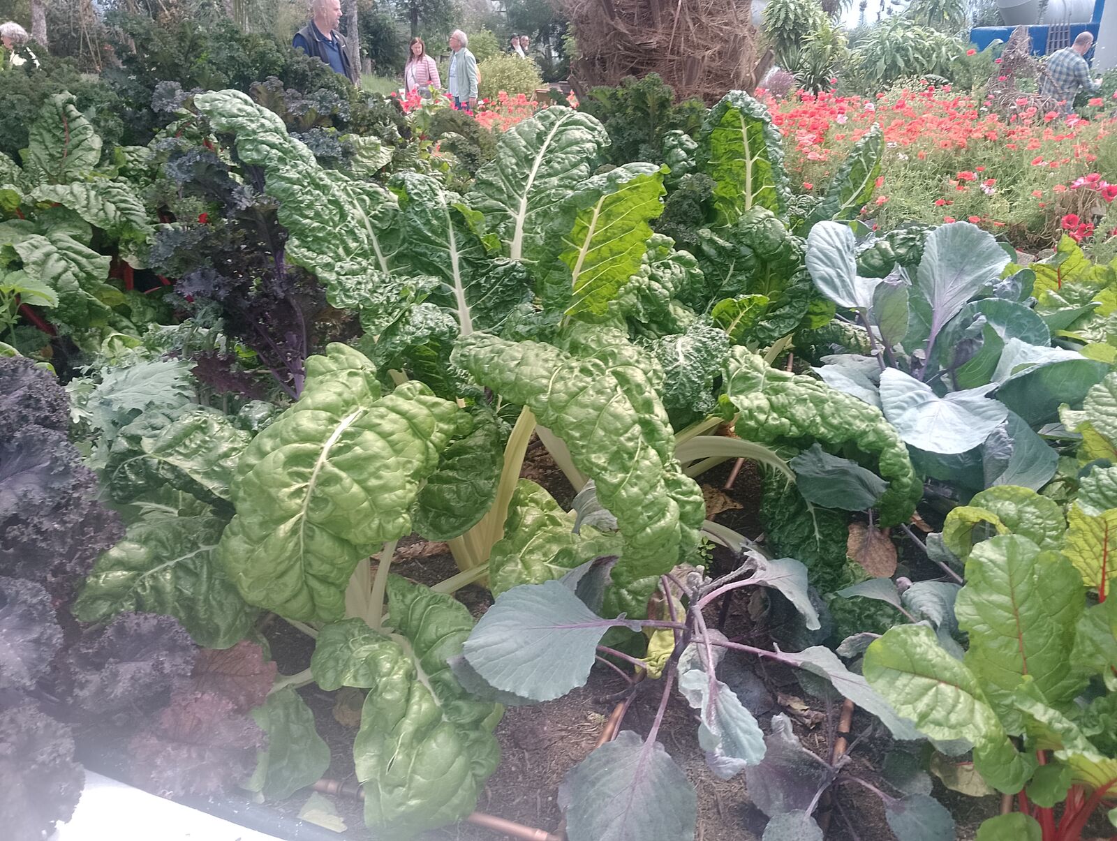 Eden Project