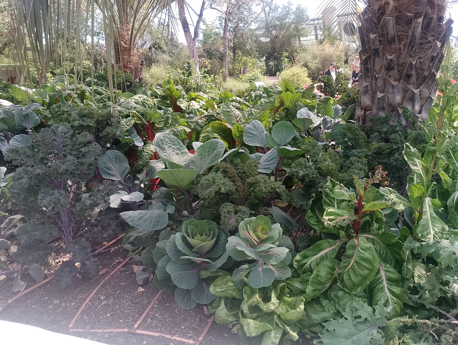 Eden Project