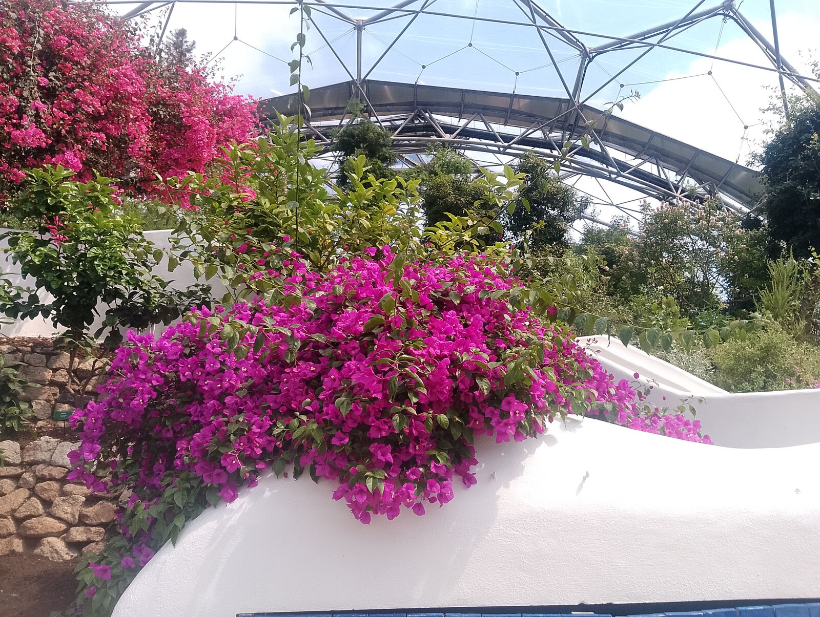 Eden Project