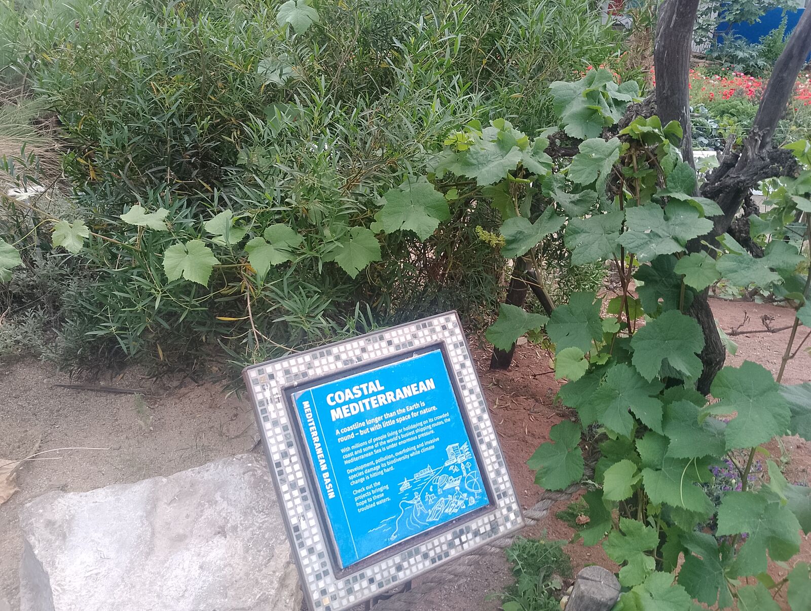 Eden Project