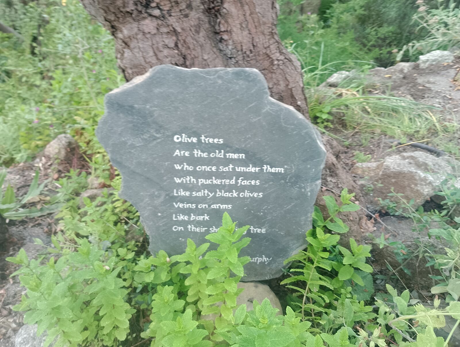 Eden Project