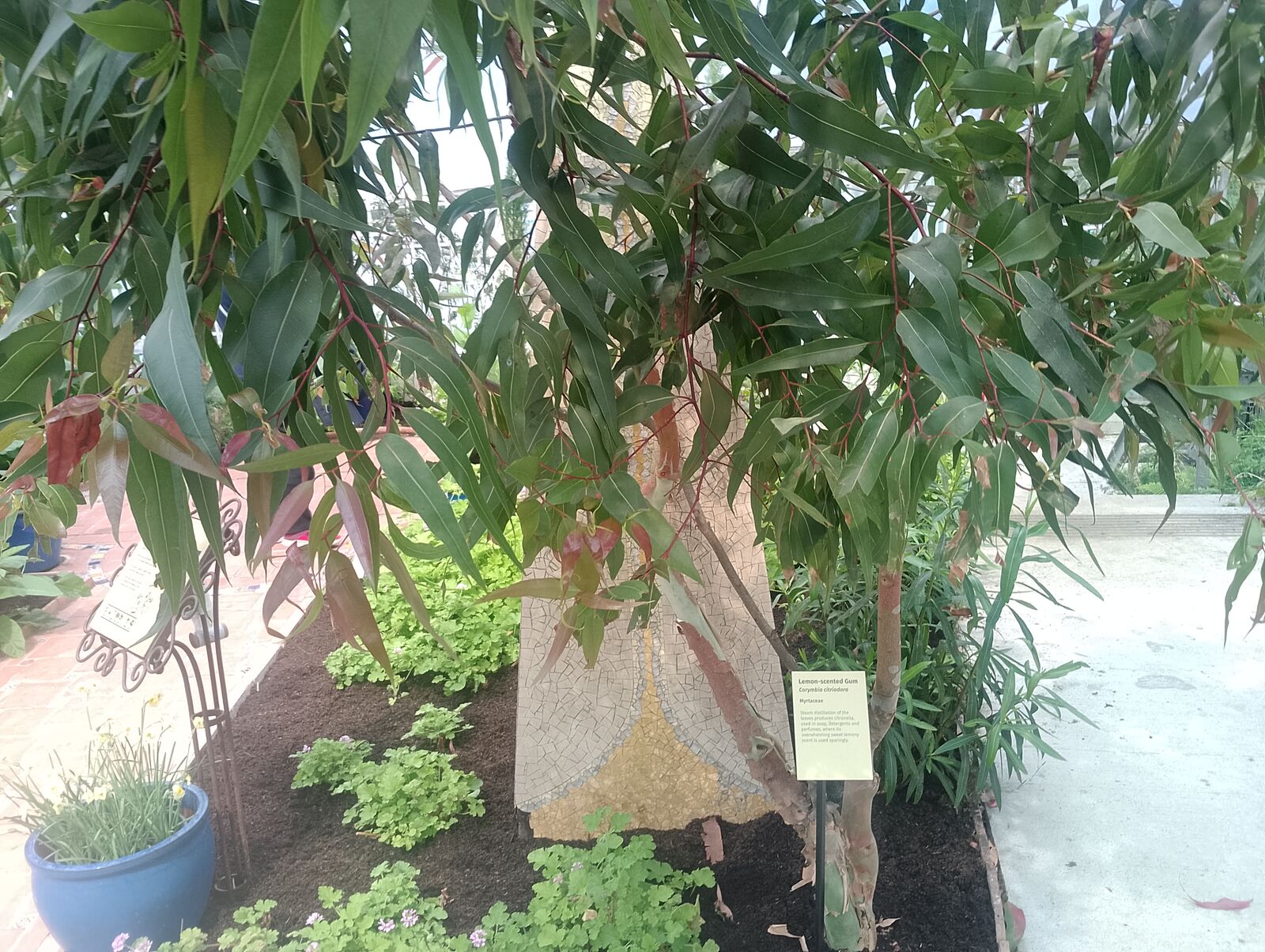 Eden Project