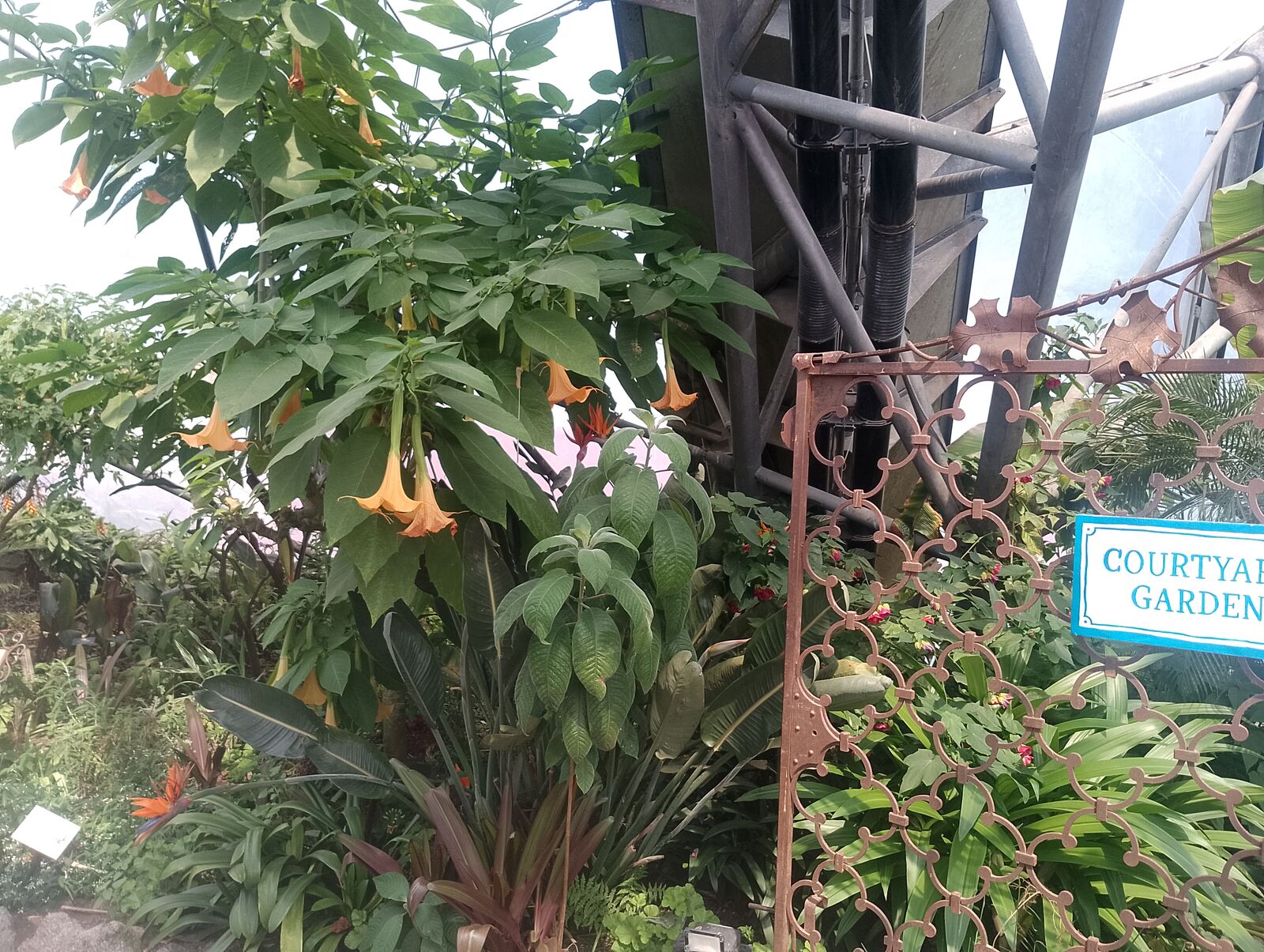 Eden Project