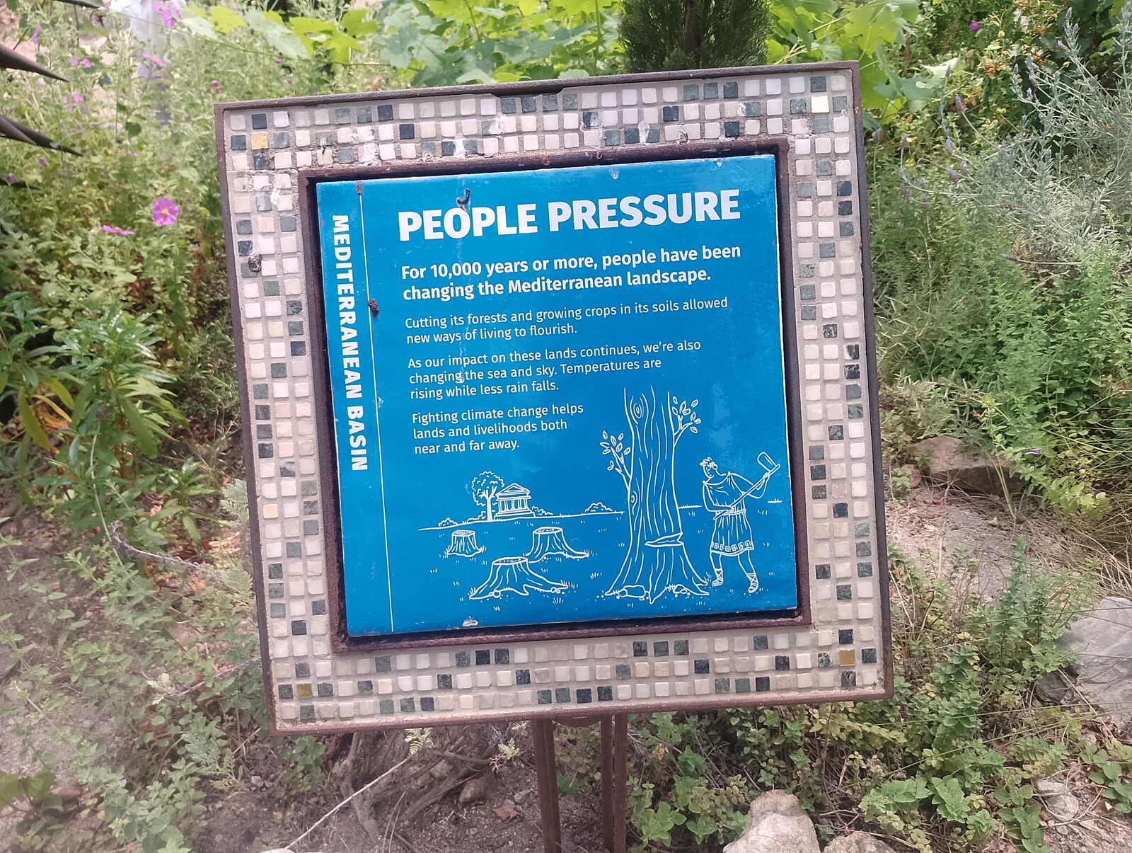Eden Project