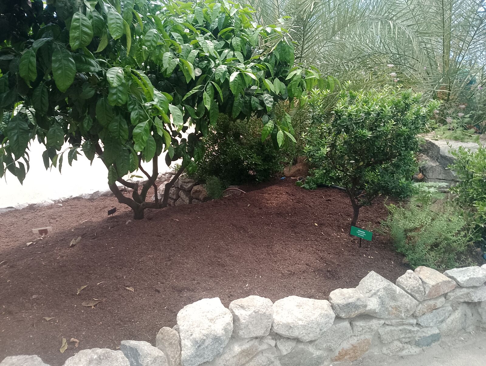 Eden Project