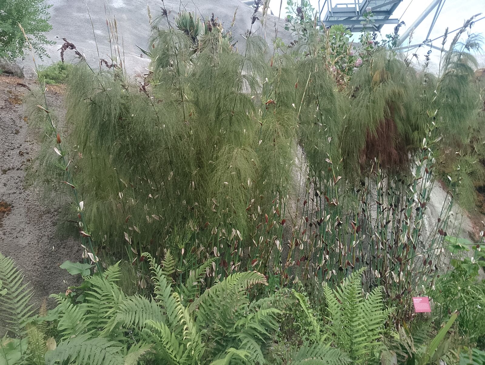 Eden Project