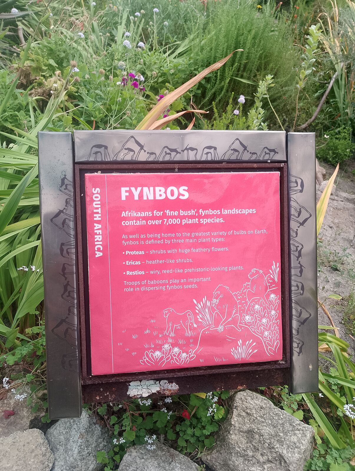 Eden Project