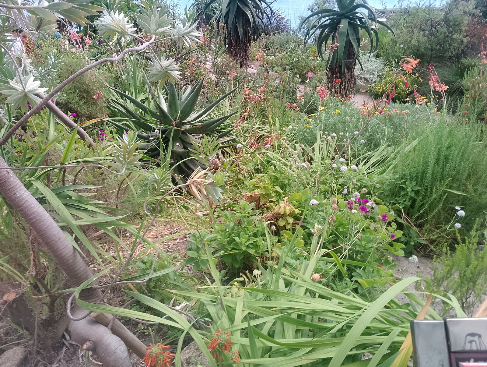 Eden Project