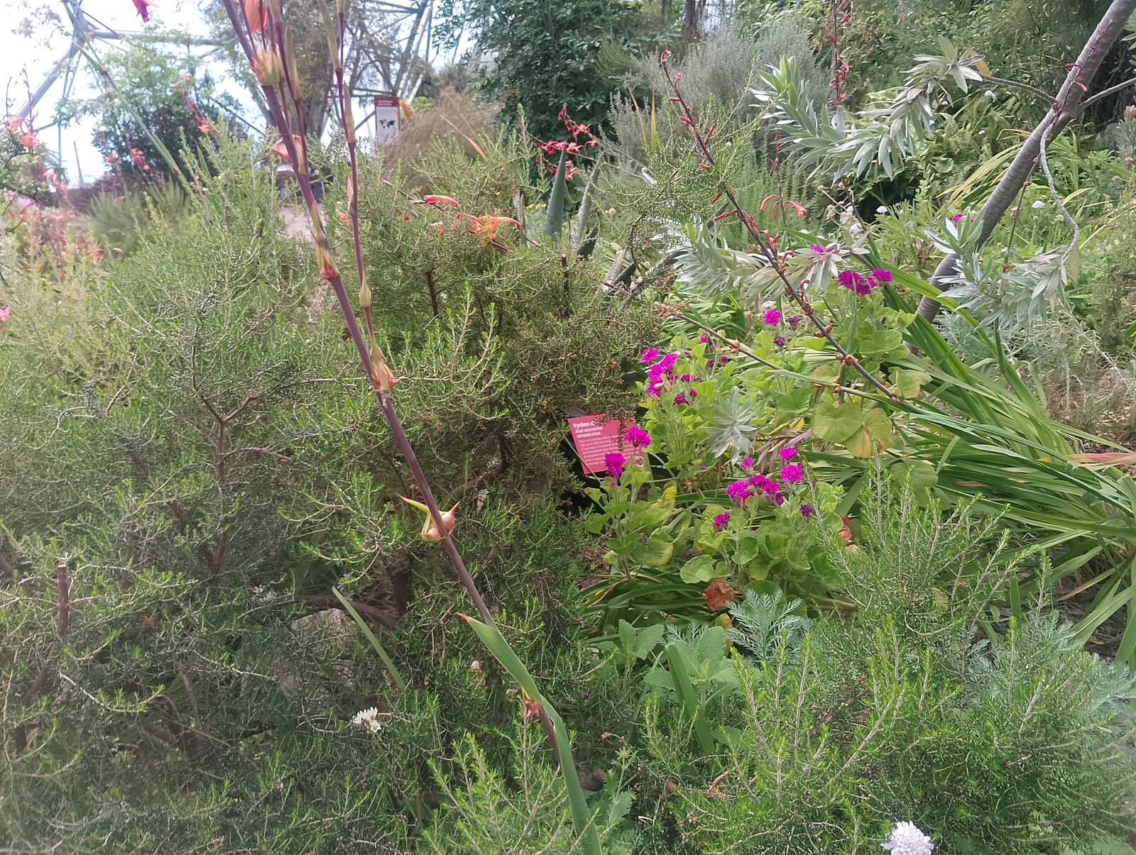 Eden Project