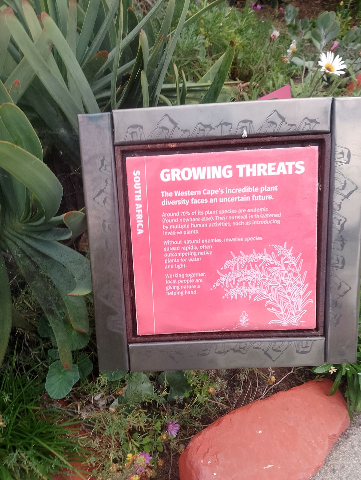 Eden Project