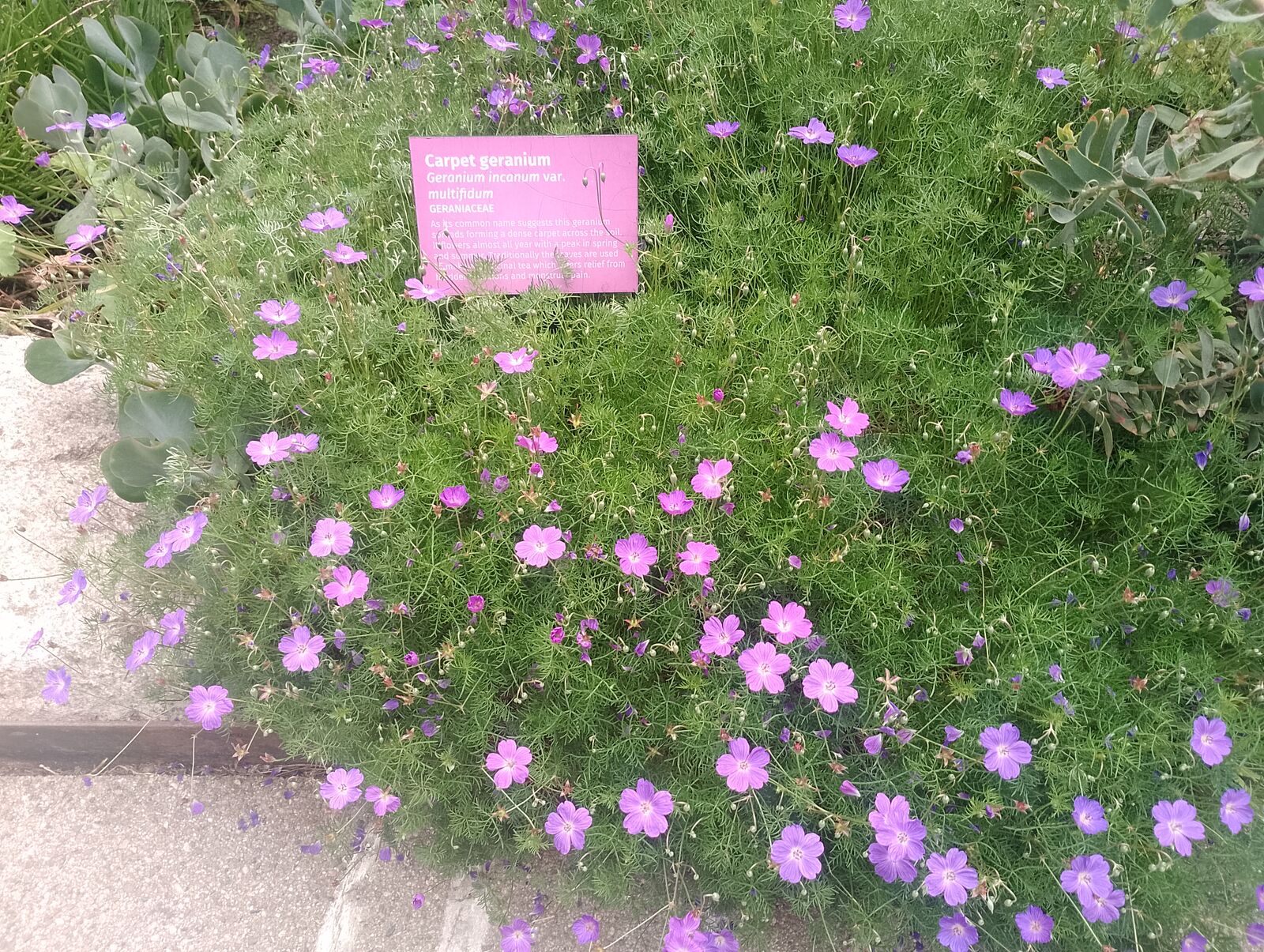 Eden Project