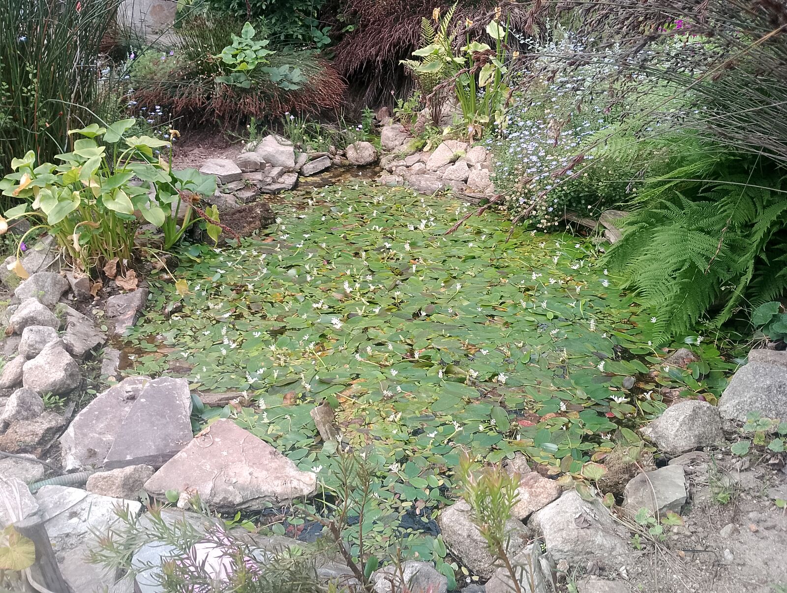 Eden Project