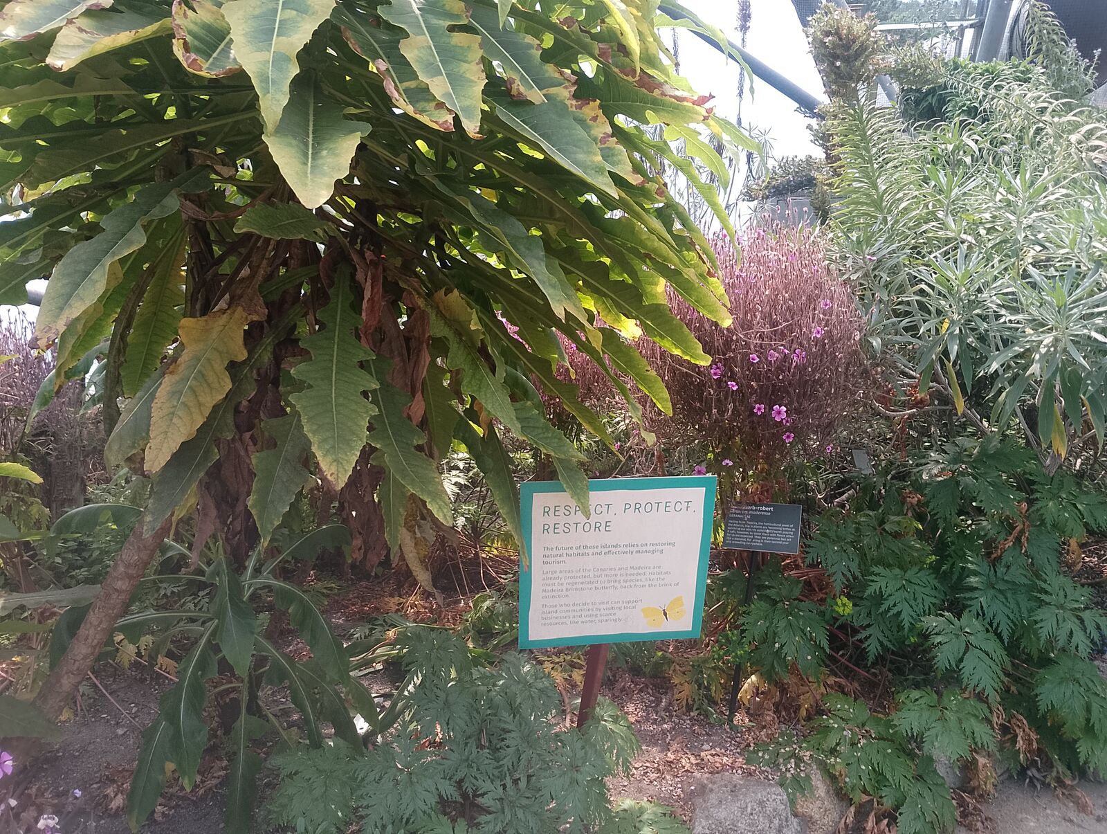 Eden Project