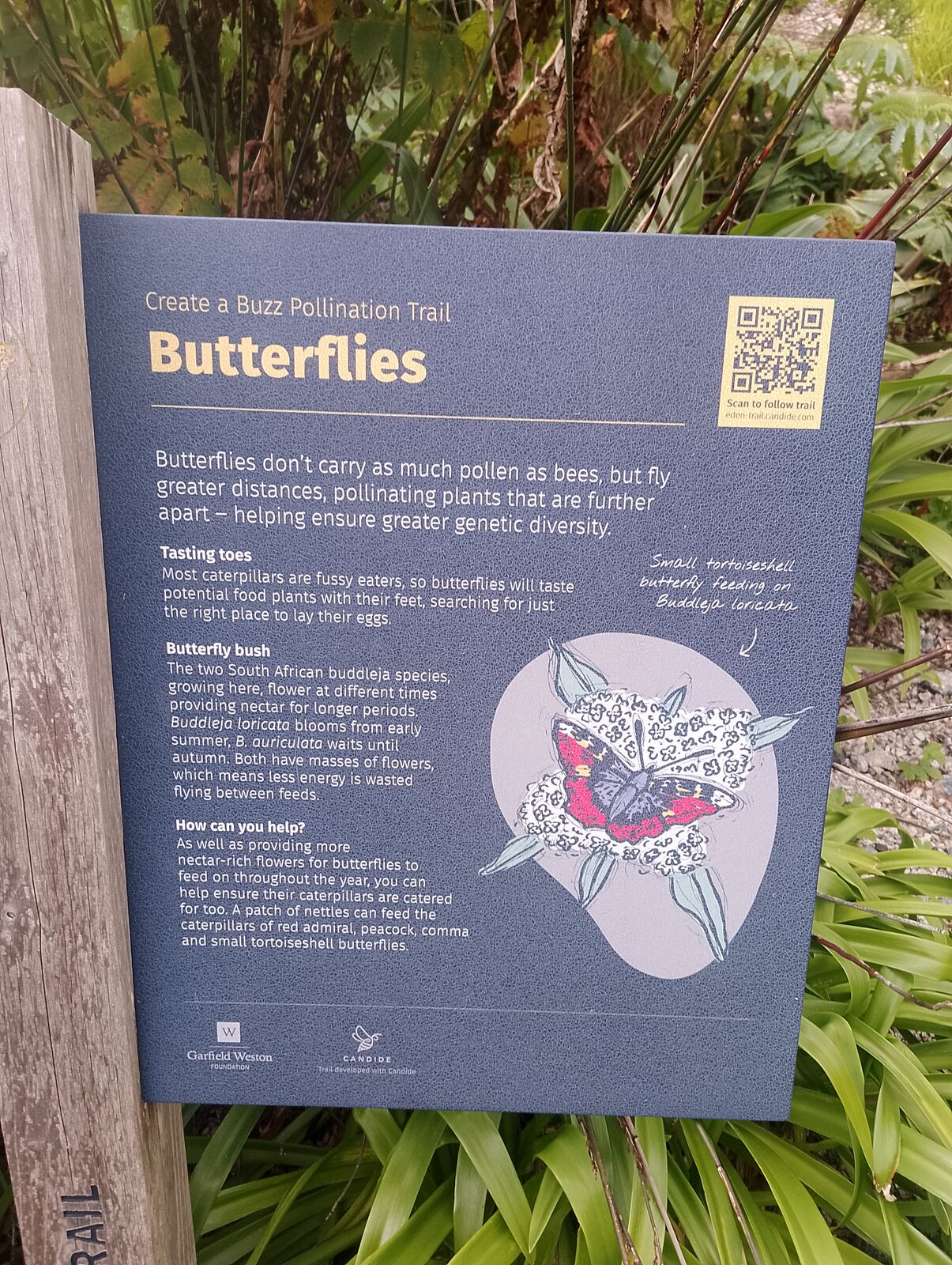 Eden Project
