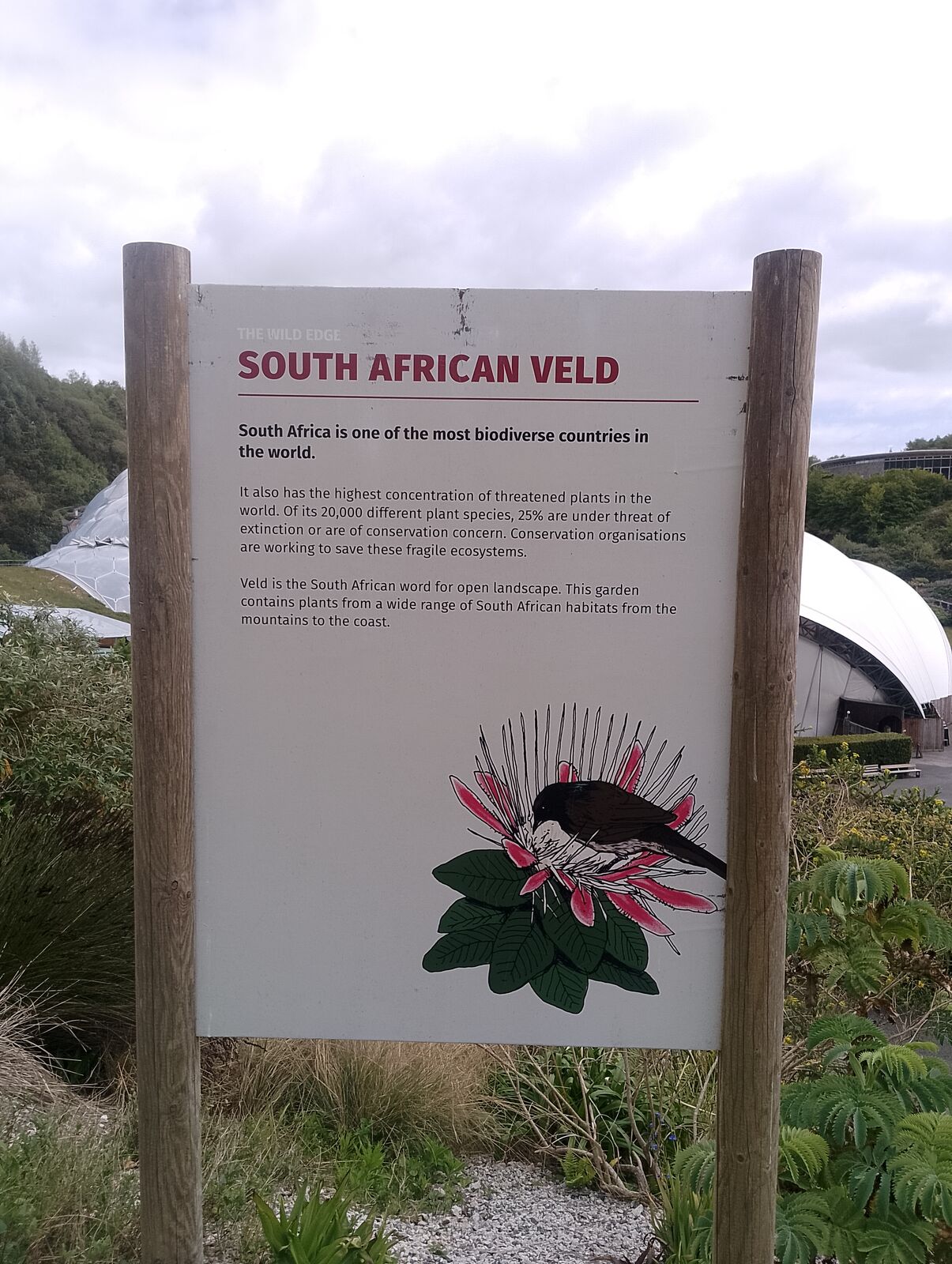 Eden Project