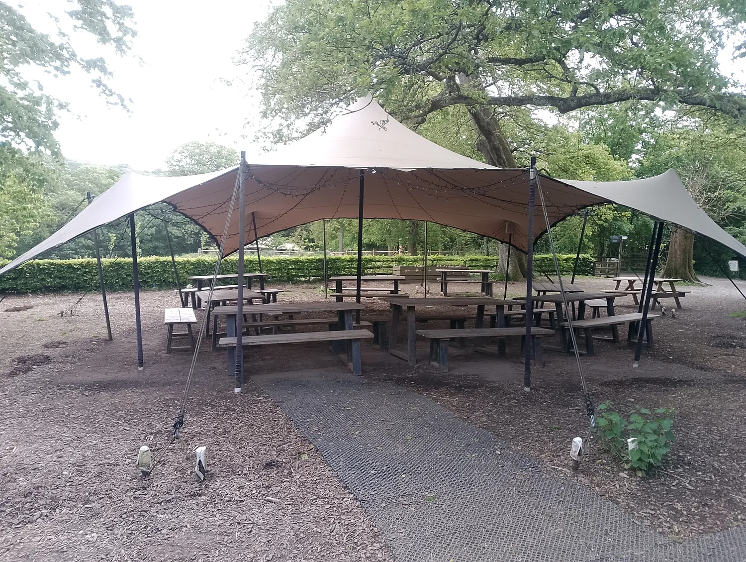 Picnic area under canopy