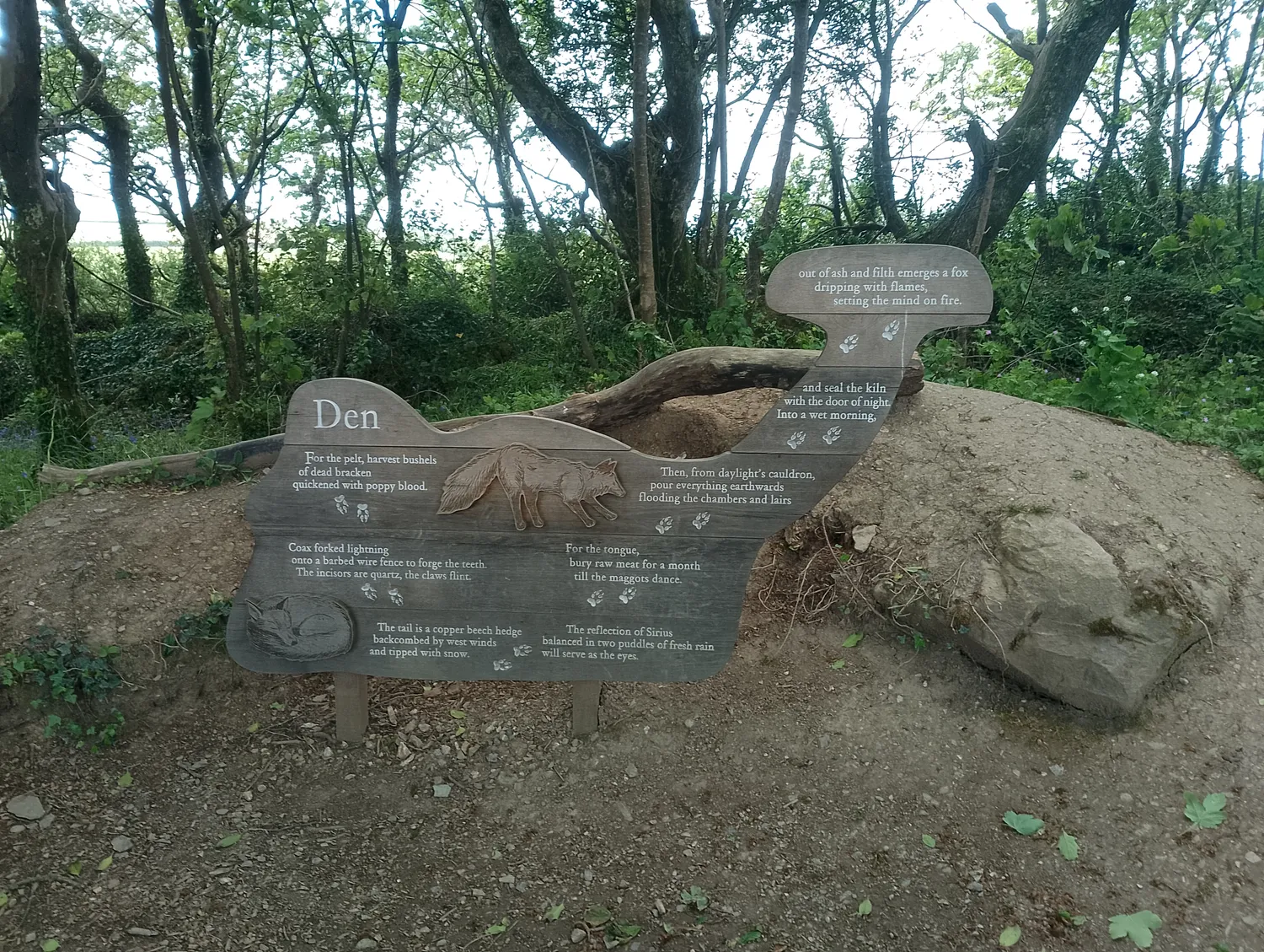 Fox den information board