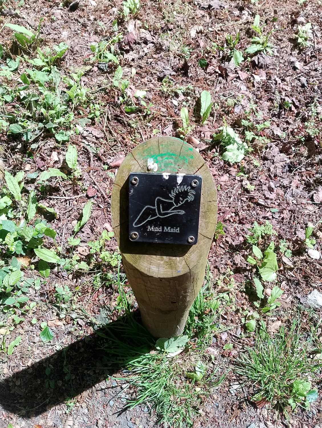 Garden path