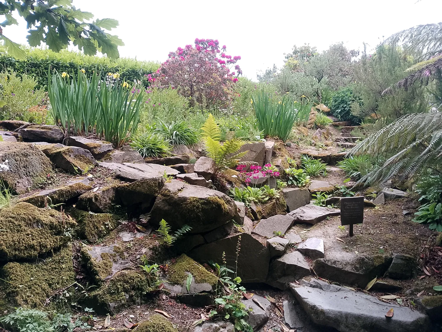 Garden walkway