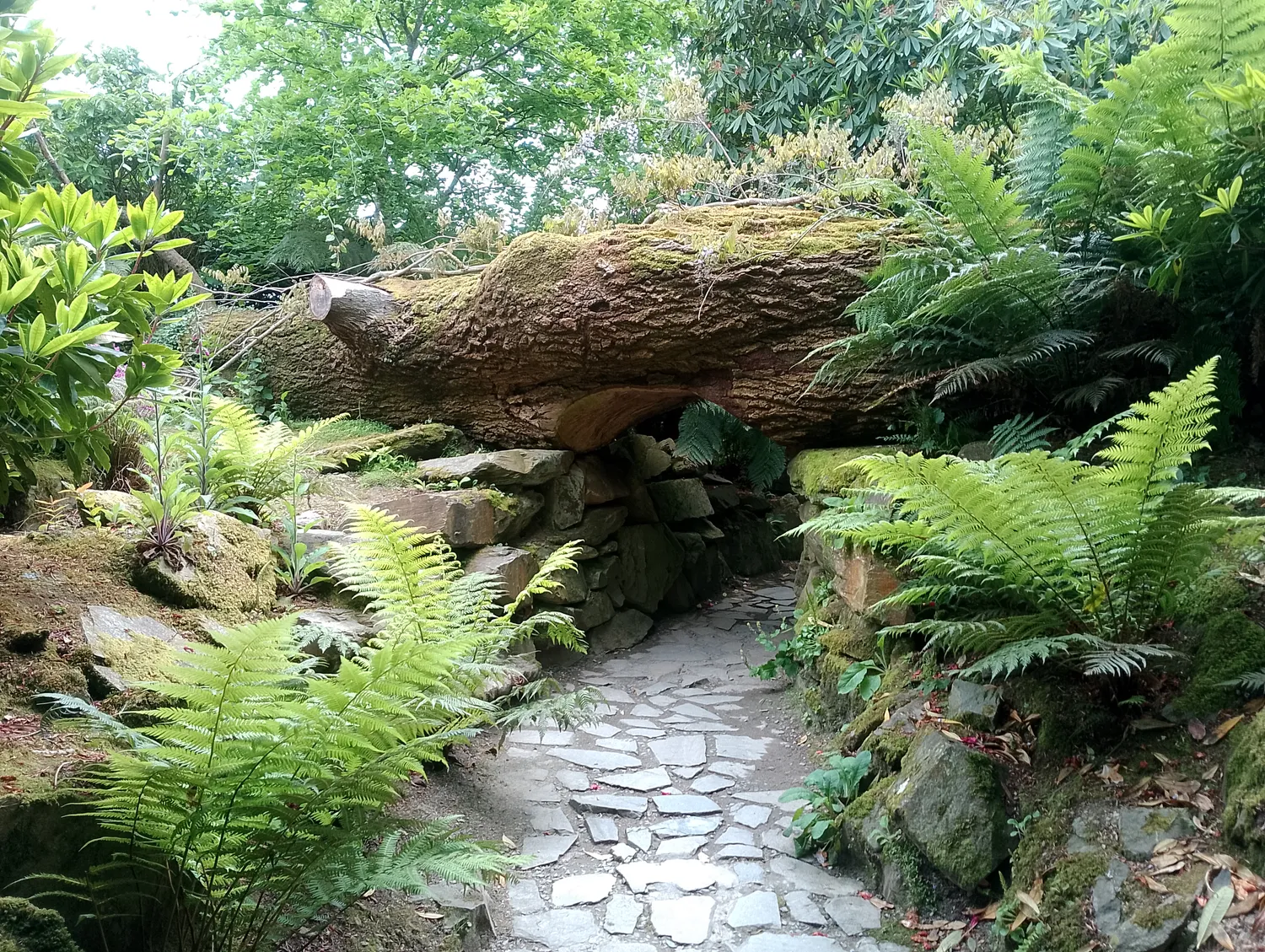 Stone steps in the garden
