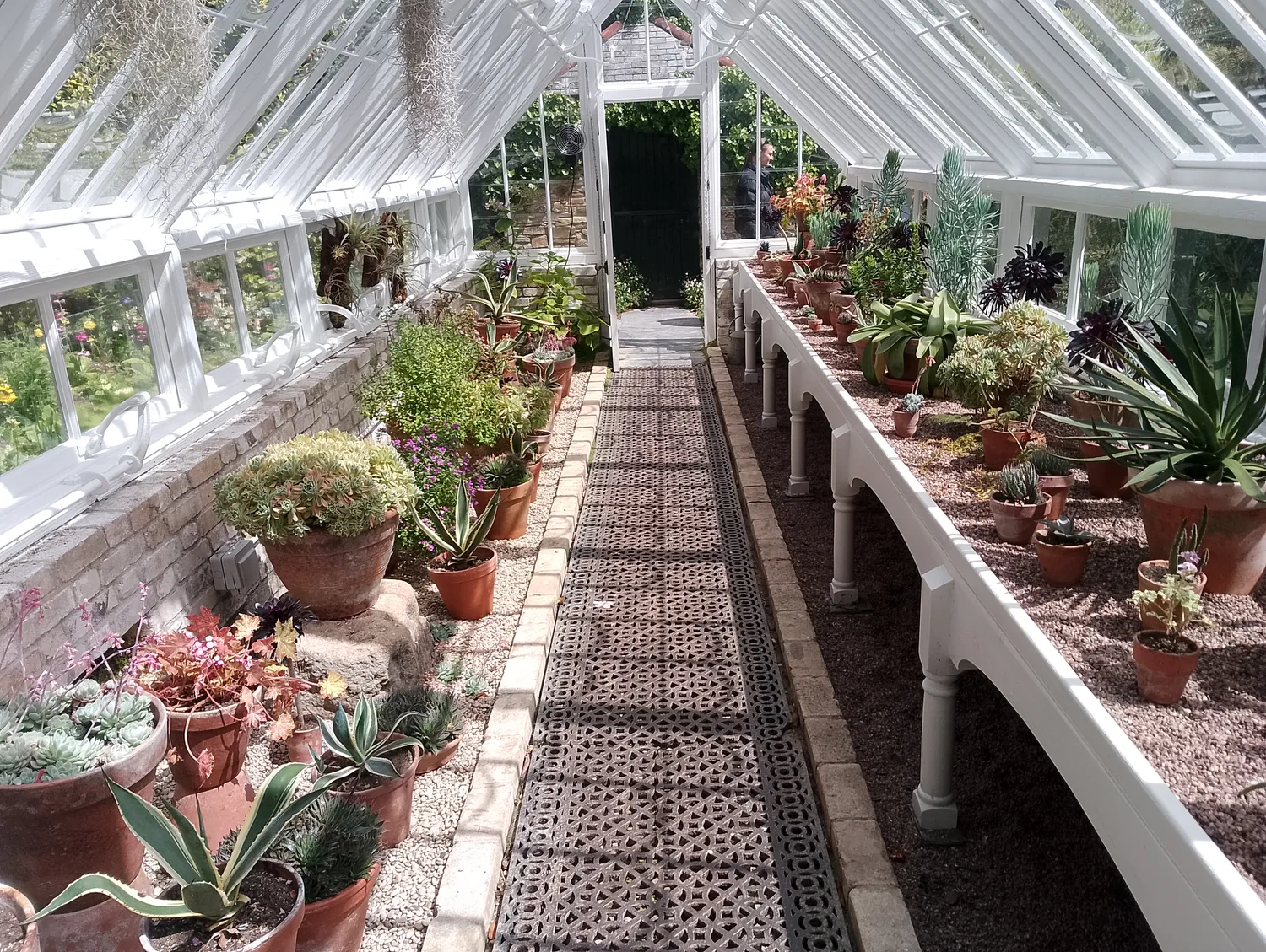 Greenhouse and flowers