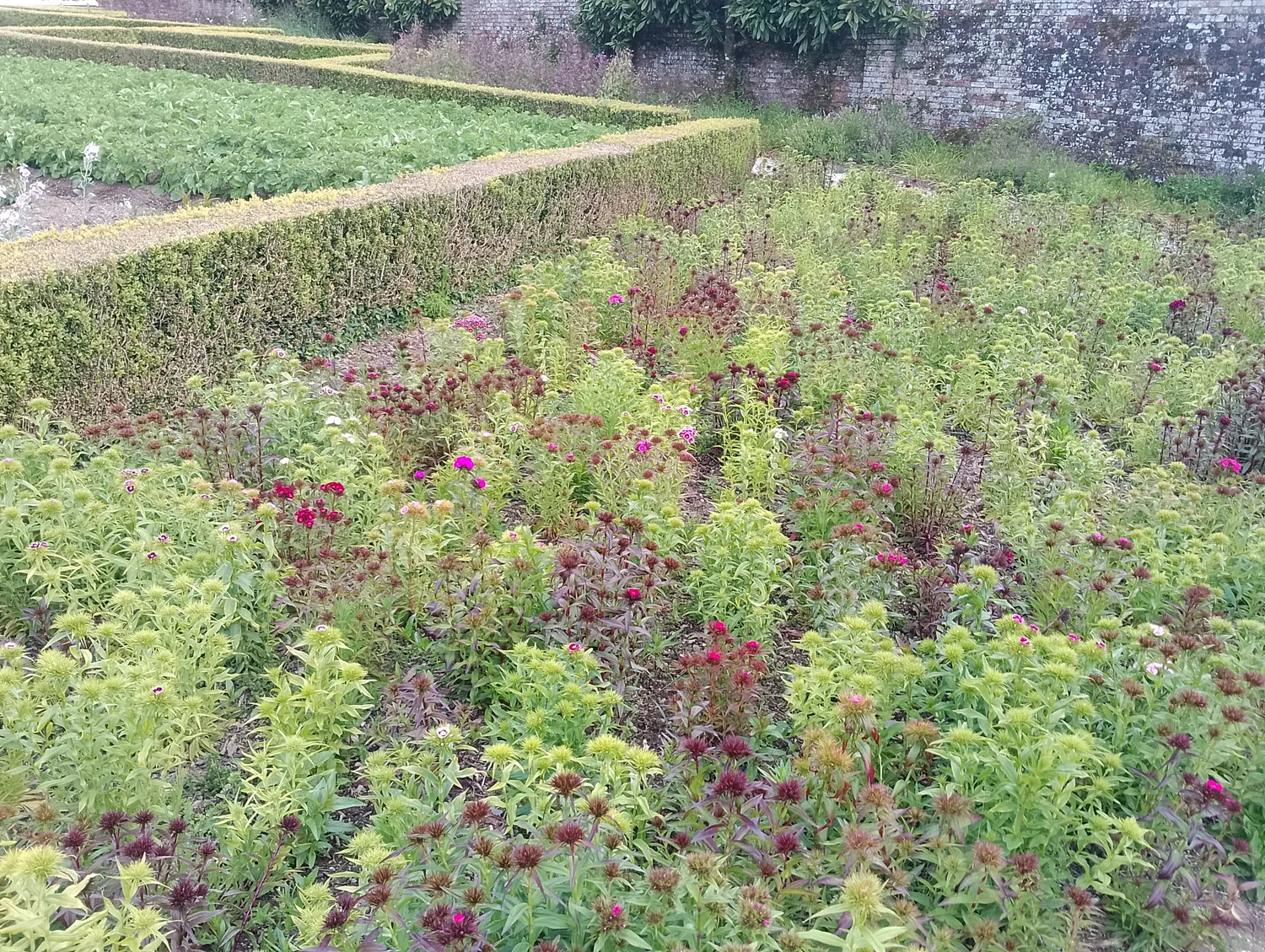 Walled flower garden
